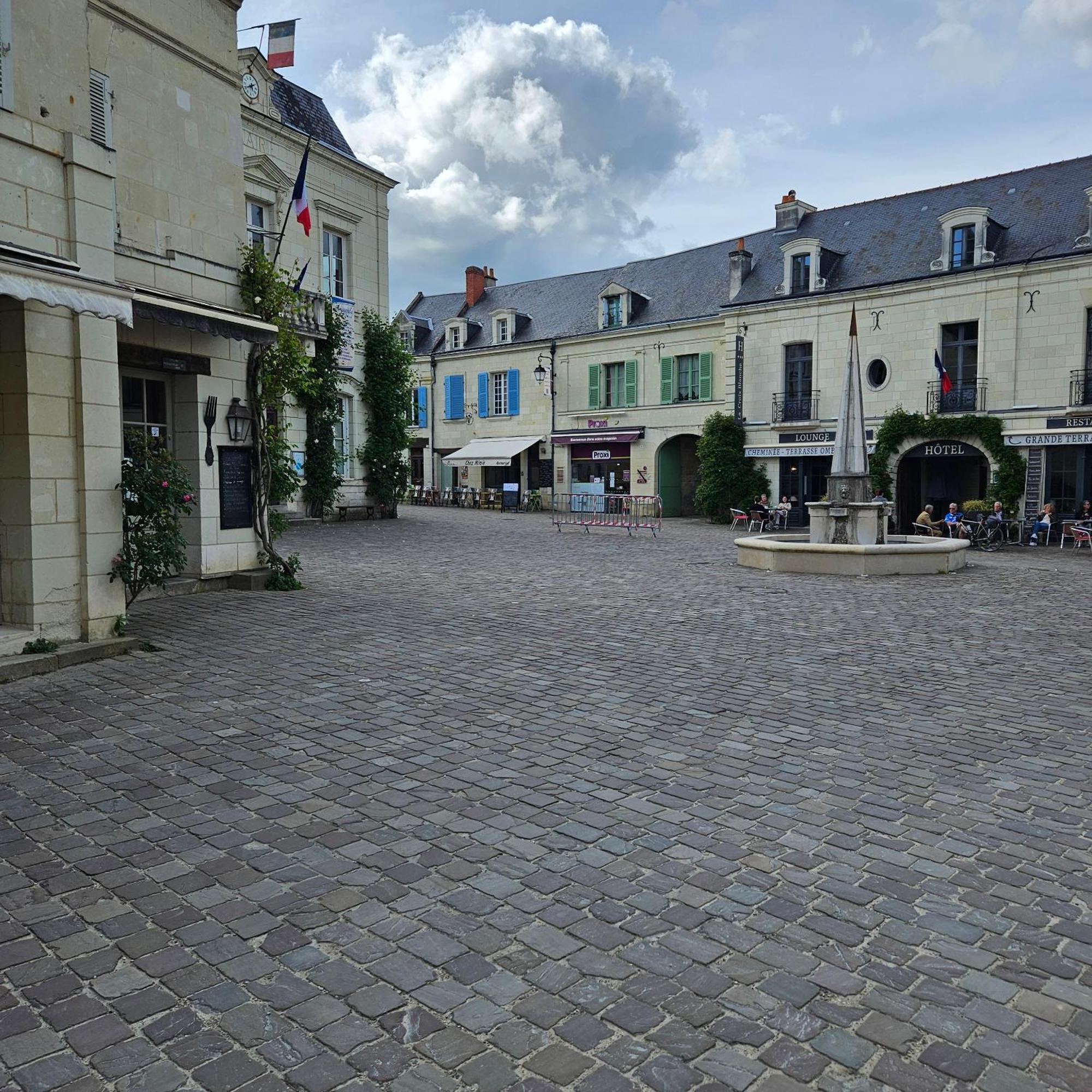Gite Le Montinho Fontevraud L'Abbaye Eksteriør bilde